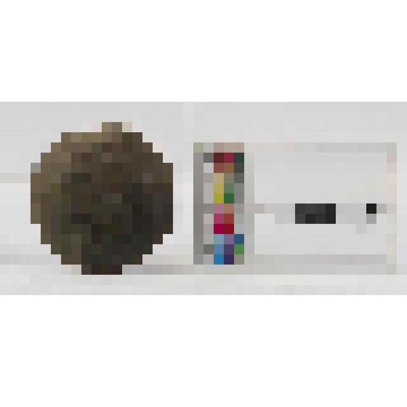 Бляха медная, круглая, с зубчатым краем, с ушком на оборотной стороне