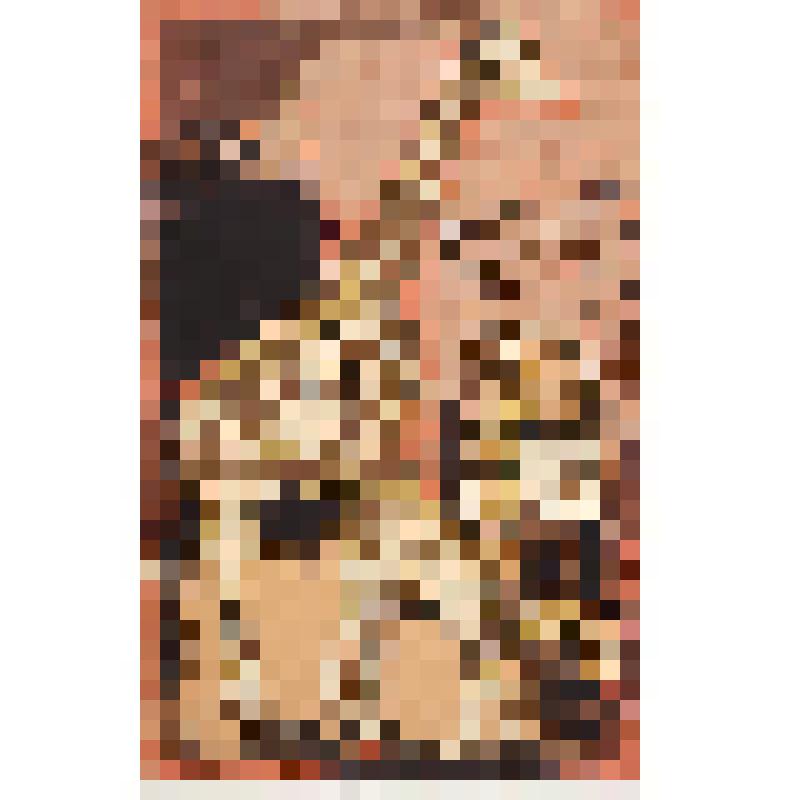 Кто есть кто в зоопарке? гравюра