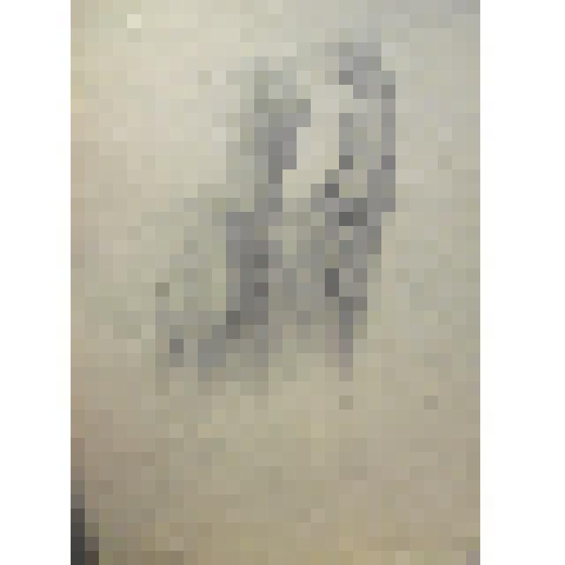 Эскиз  №3, карандаш.90-е  годы  20 в