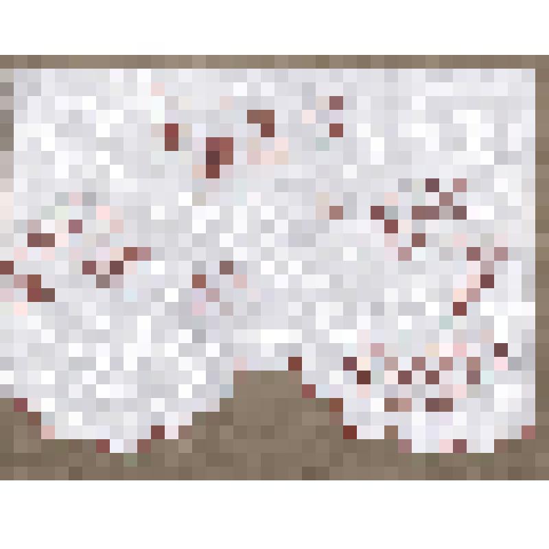 Зарисовка фрагмента подзора. Из альбома зарисовок «Вышивка Горьковской области». Часть 1