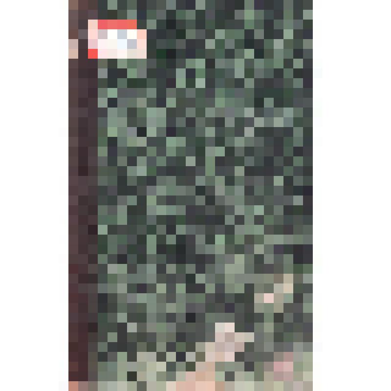 Книга. Записки Императорского русского географического общества. Кн.VI / Под ред. А.Н. Попова. СПб.: В типографии II отделения Собственной Его Императорского Величества Канцелярии, 1852