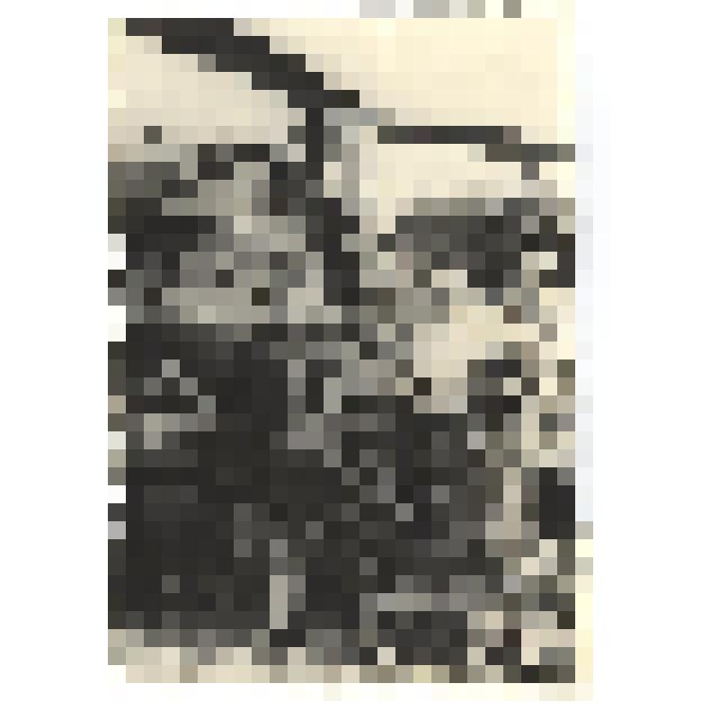 Фотография. Трунова И.А. в командировке по заданию редакции газеты