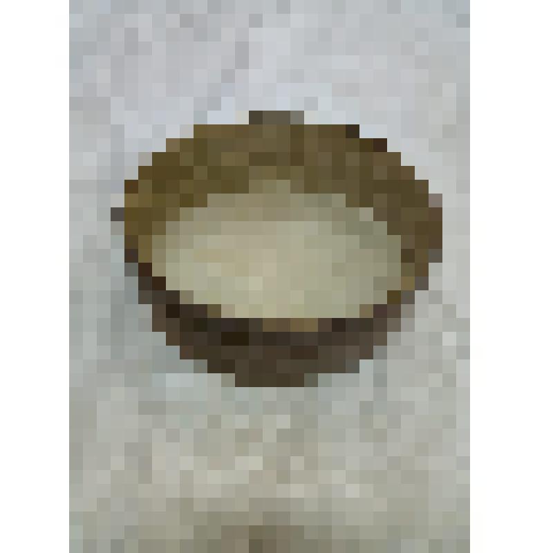 Решето для просеивания муки