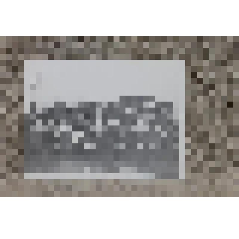 Фотография ч/б. Коллектив Грязовецкого техникума механизации и электрификации сельского хозяйства