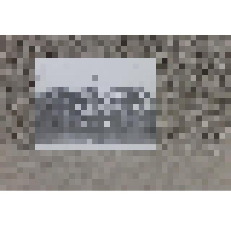 Фотография ч/б. Коллектив Грязовецкого техникума механизации и электрификации сельского хозяйства