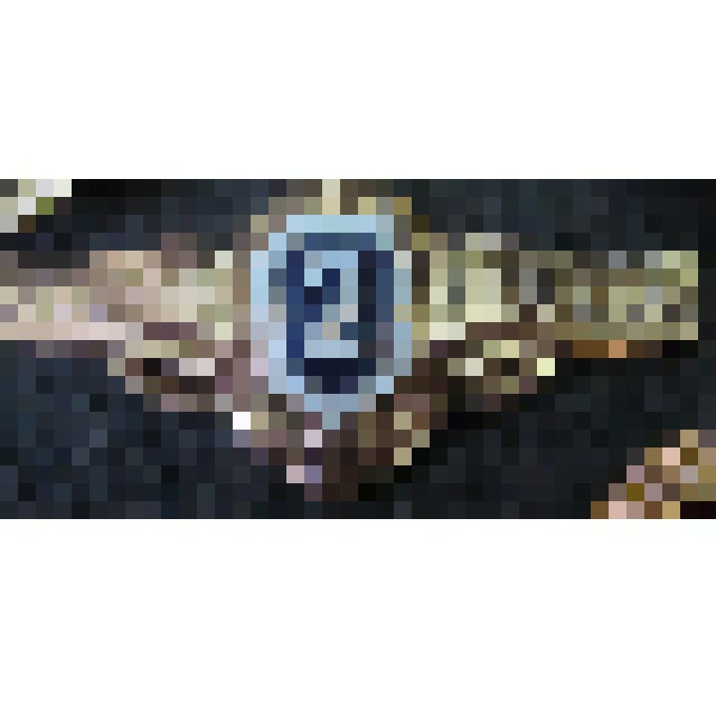 Знак классности 2 категория