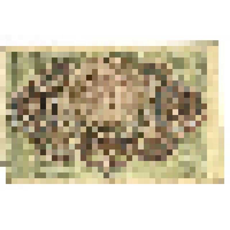 Знак расчётный 30 рублей