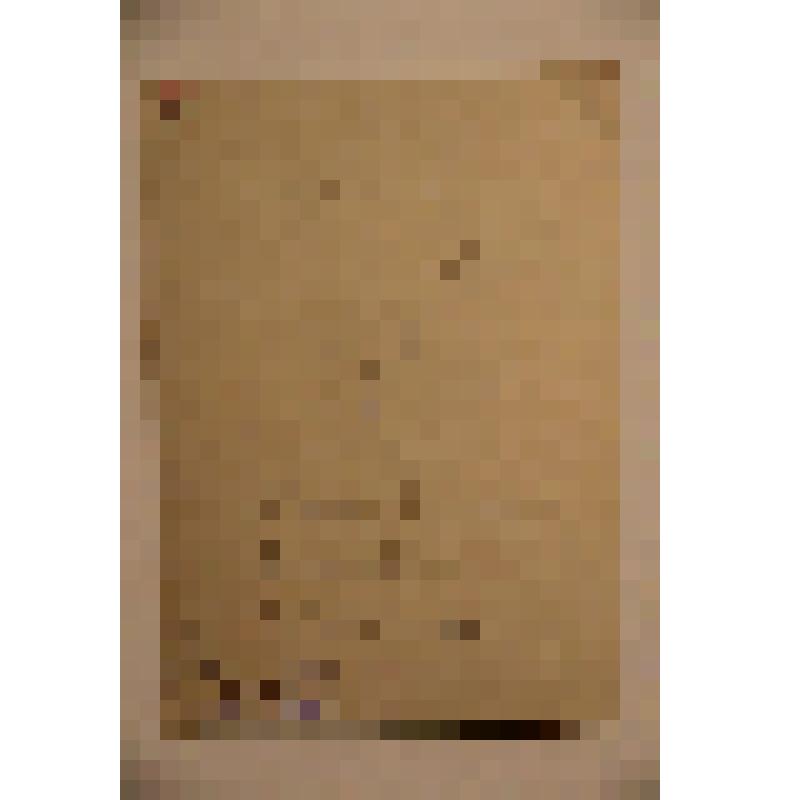 Фото. Г. Ибрагимов