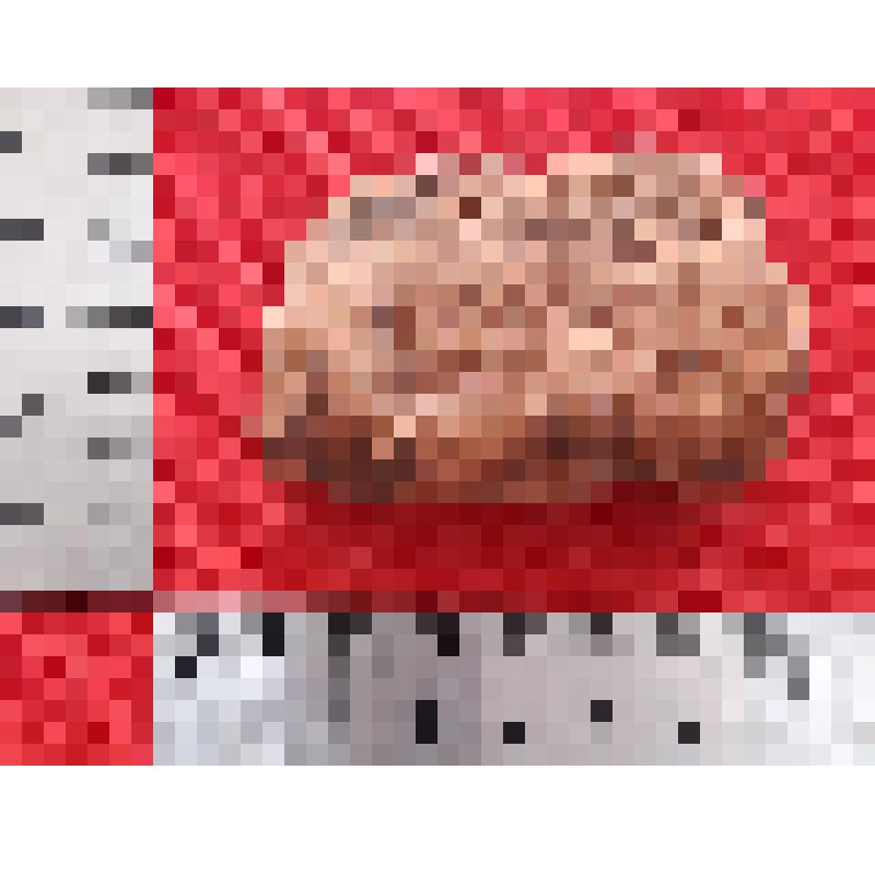 Фрагмент железоплавильной печи