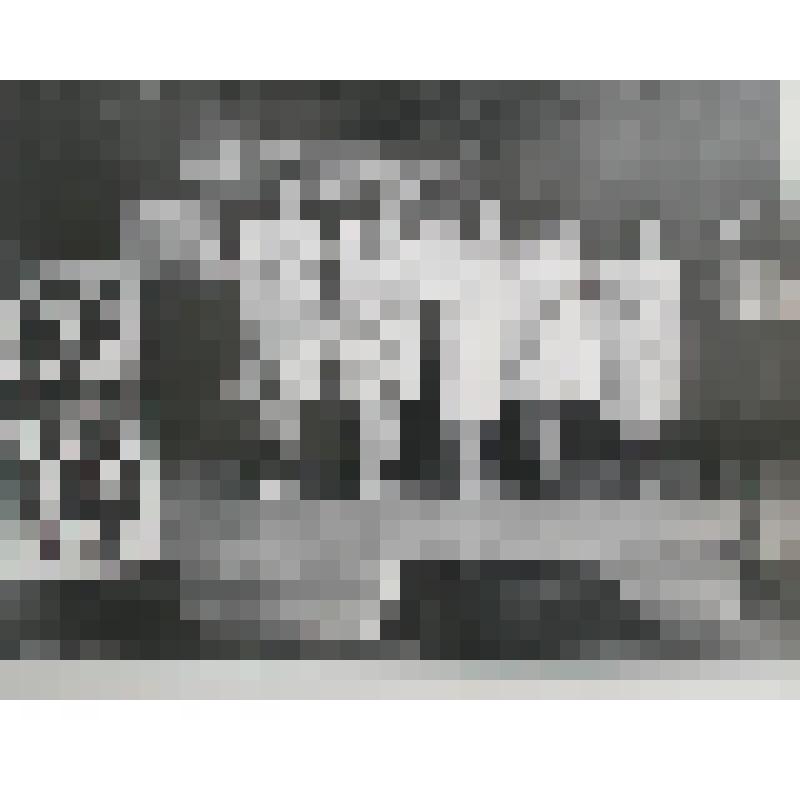 Фотография. "Девиз - пятилетка, курс - коммунизм" - так называется программа агитбригады племптицесовхоза Новооскольского района