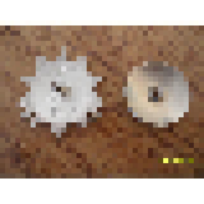 орден Отечественной войны II степени