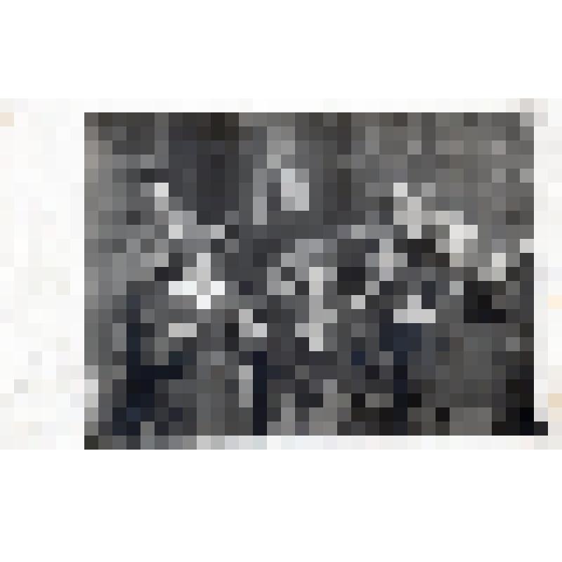 Фотография. Струнный оркестр клуба имени Ханкевича