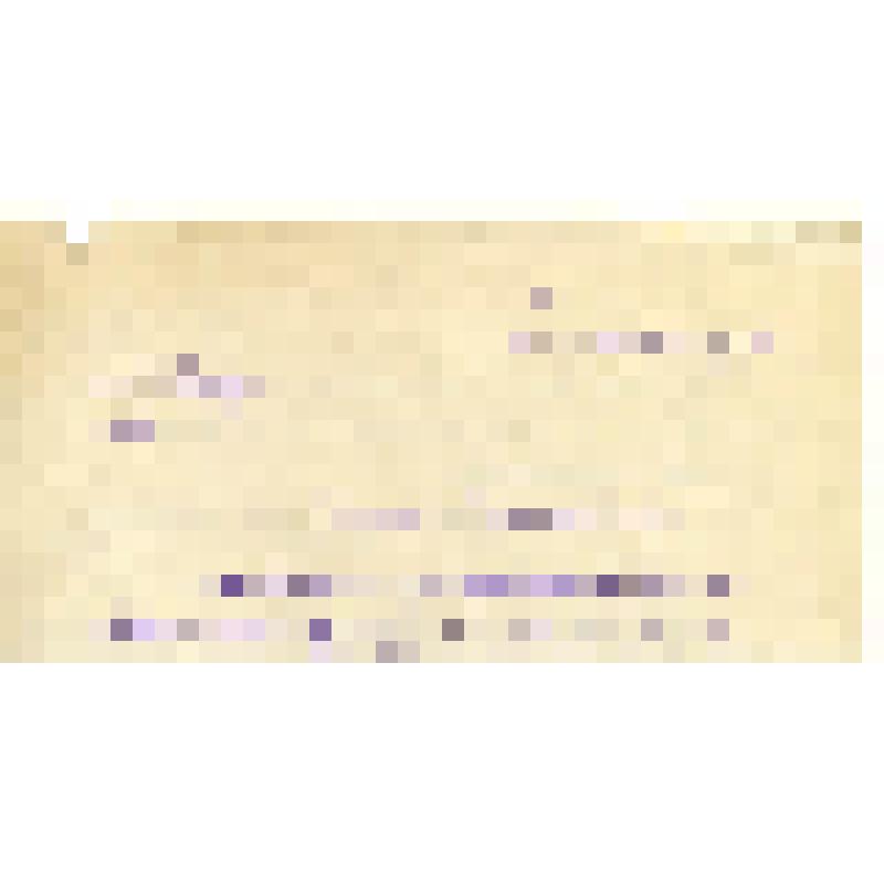 Письмо. Федин Константин Александрович. Адресат: Горбов Евгений Константинович, г. Москва - г. Орел. Черновой автограф