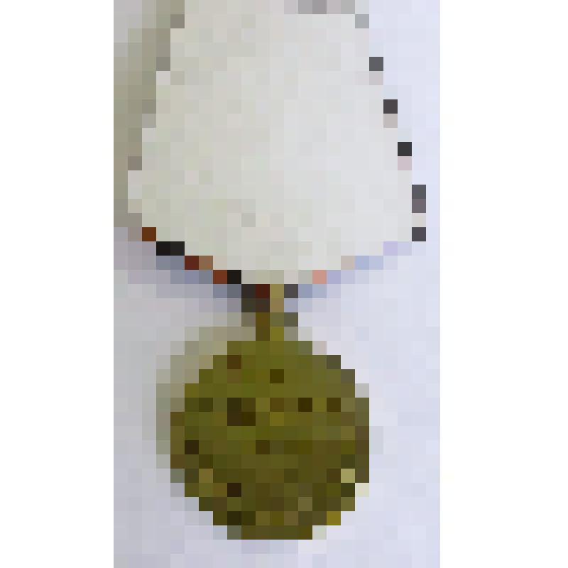 медаль. Воину-интернационалисту  от благодарного афганского народа