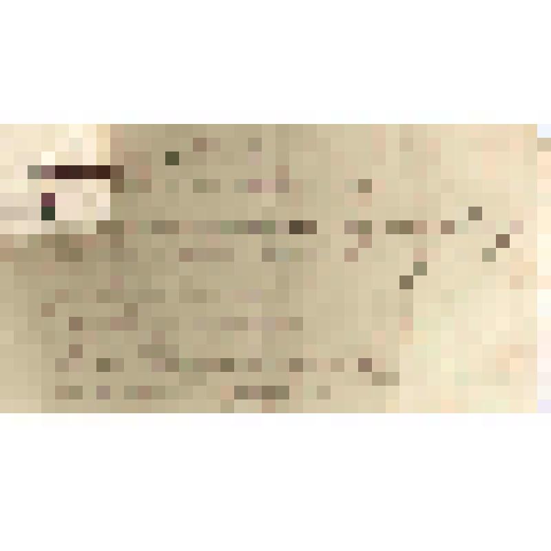 Записка Николаю Петровичу Алину от С.С.Ремянникова, 15.10.1913 г