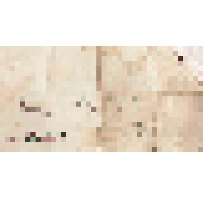 Записка Николаю Петровичу Алину от С.С.Ремянникова, 15.10.1913 г