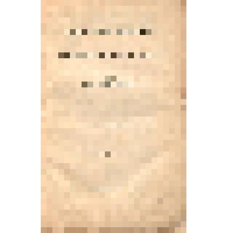 Книга. Т. 2. Художественная энциклопедия (иллюстрированный словарь искусств и художеств) / Сост. Ф. И. Булгаков. Санкт-Петербург. Изд.А.С.Суворина. 1886-87