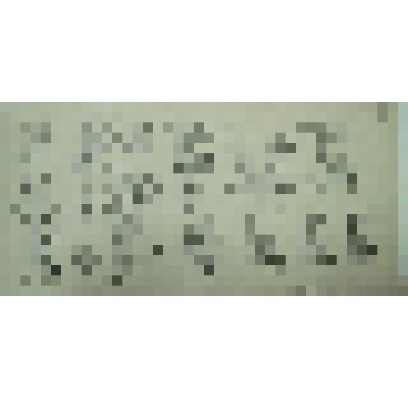 Орнамент. Прорисовка инициалов, декорированных вязью. Рисунок