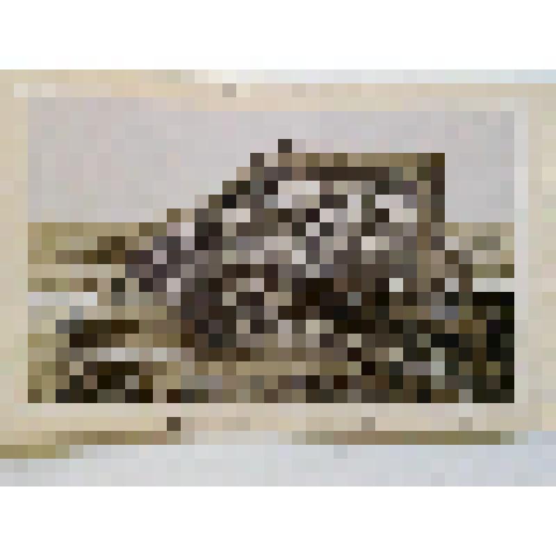 Дарницкий железнодорожный мост. 1870 г. г. Киев. Железнодорожный мост через Днепр. из альбома. Струве Аманд Егорович. Общий вид. Издатель не указан