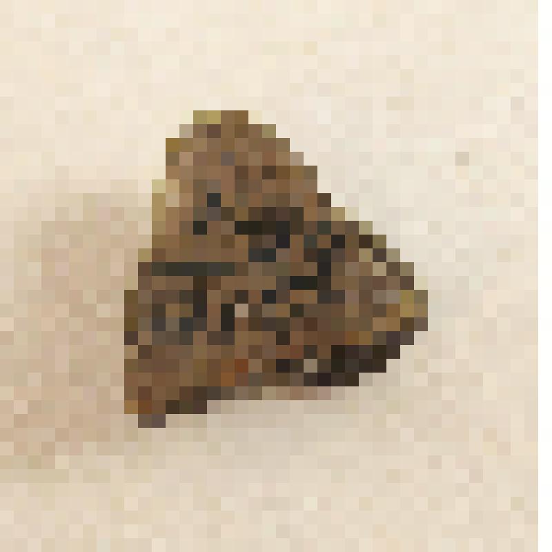 Фрагмент керамики