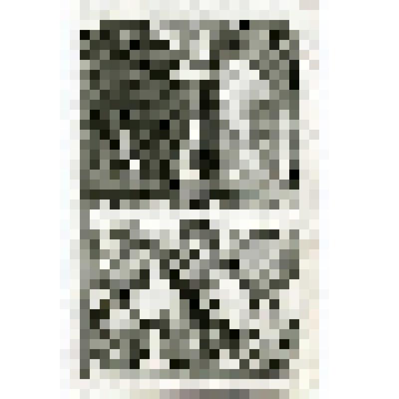 Офорт. Лист 150. Явления Ангела Иосифу. Исцеление расслабленного. Воскрешение дочери Иаира. Исцеление слепых. Призвание Матфея (Мф. 1, 2, 9)