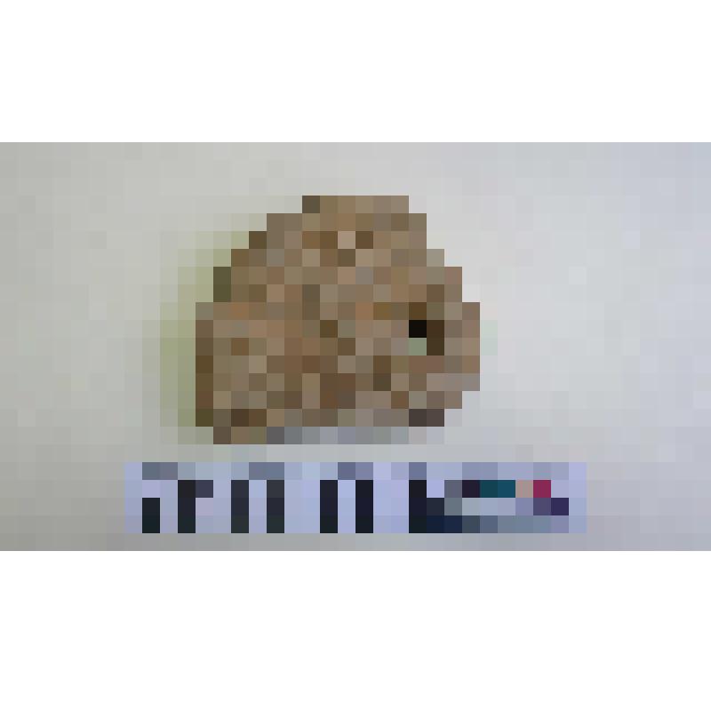 Фрагмент грузила