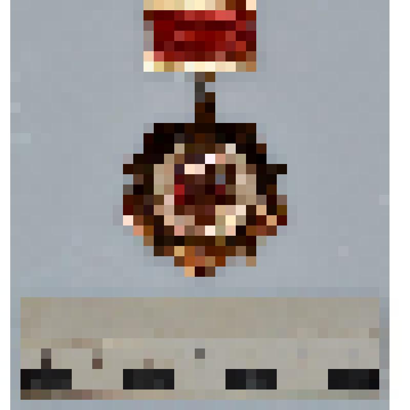 Знак нагрудный "Почетный знак 50 лет ДОСААФ СССР" Бондаренко И.А