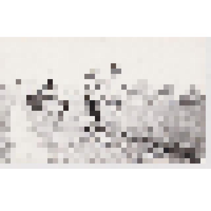 Спортивная жизнь нашего района