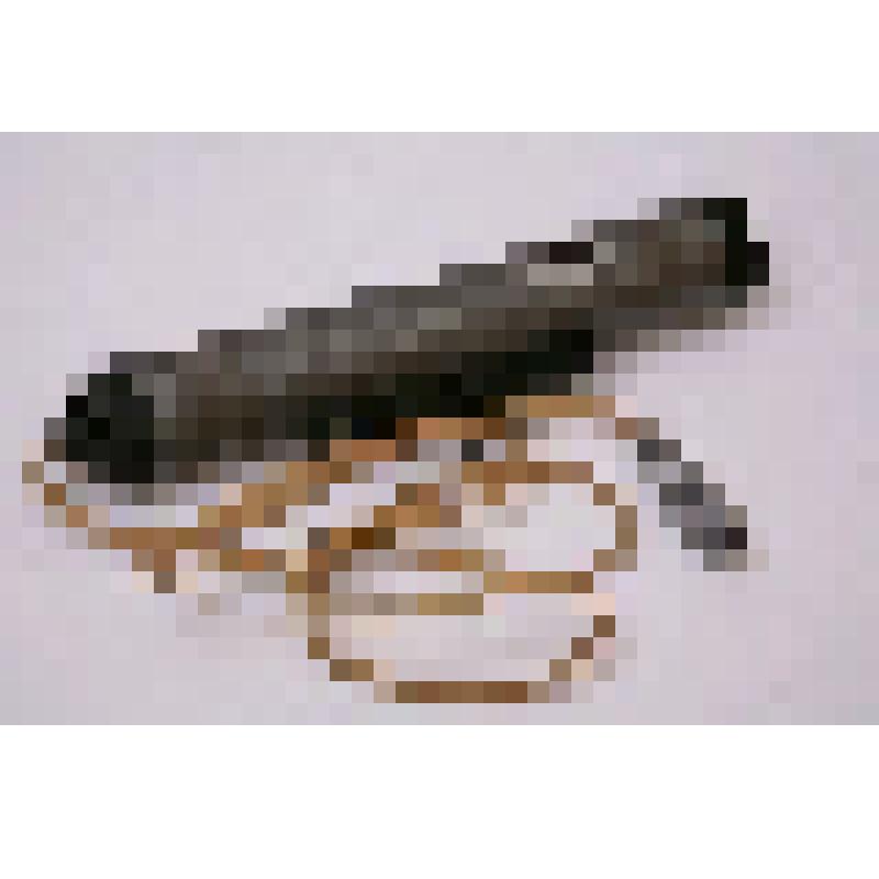 Излучатель квантовый оптический гелий-неоновый ЛГ-56