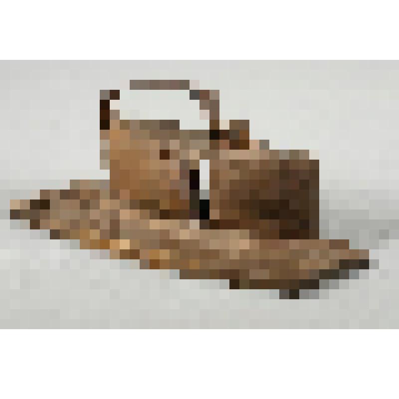 штап (горбач)