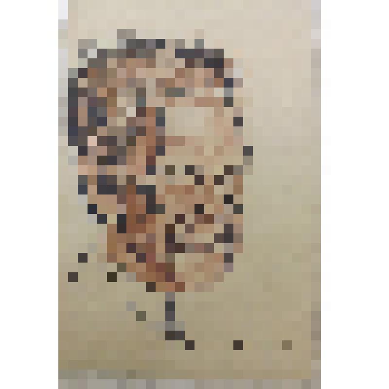 Рисунок "Шарж на неизвестного"