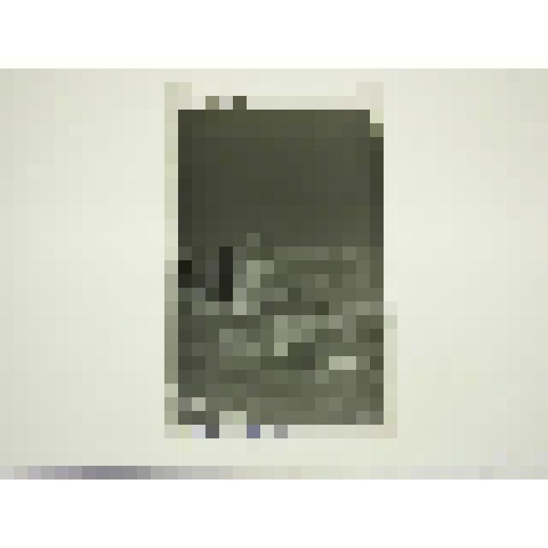 Жилая застройка. Татарстан, г. Набережные Челны Жилая застройка. Фрагмент  застройки 10 квартала