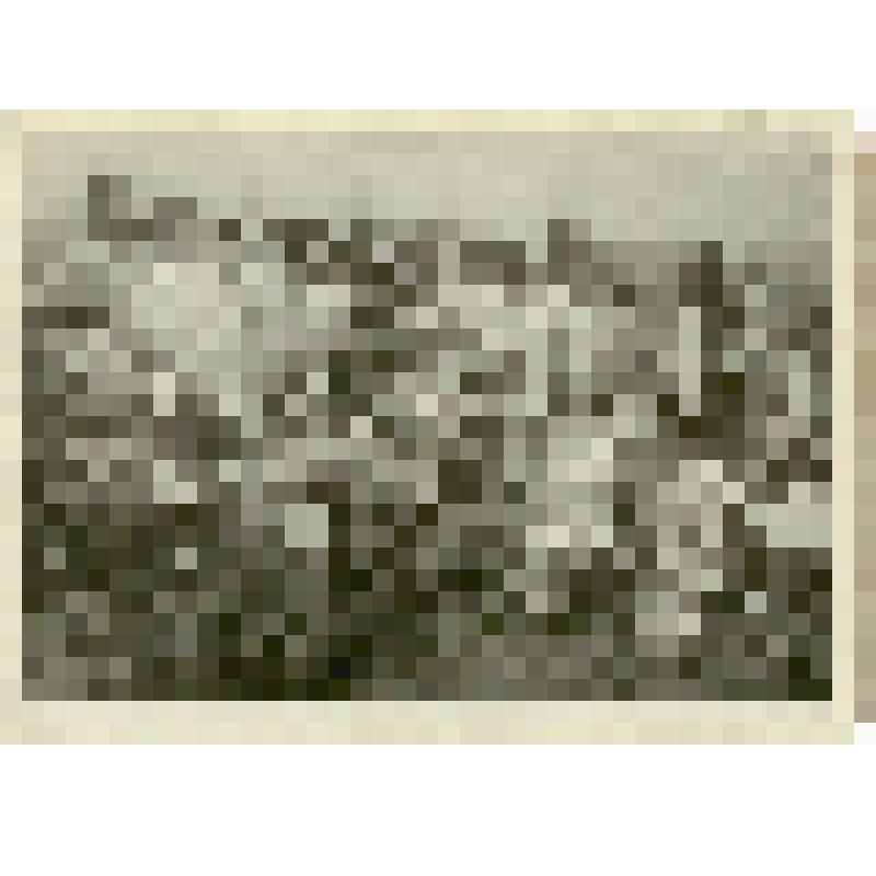 Фотография. Студенты II курса отделения защиты растений агрономического факультета Саратовского сельскохозяйственного института на практике  по изучению видового состава вредителей полевых культур Заволжья