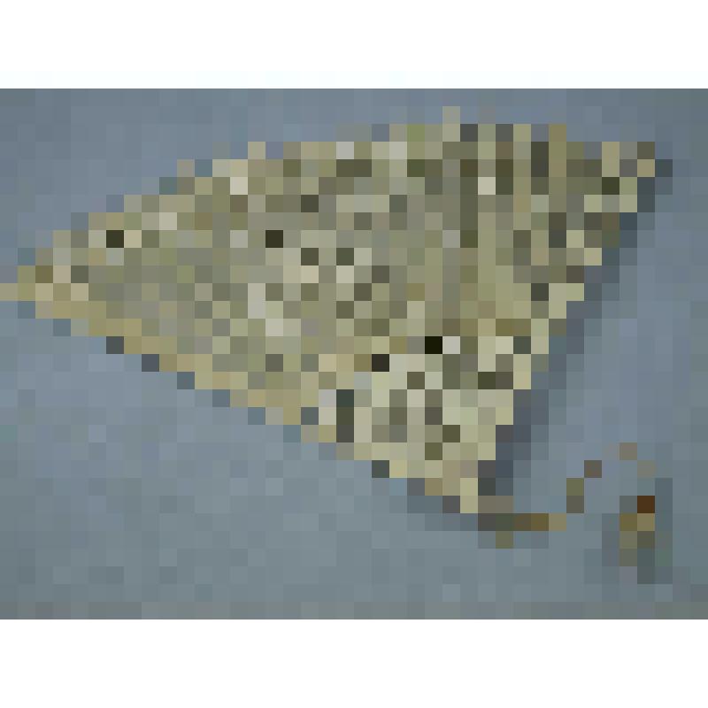 Веер складной