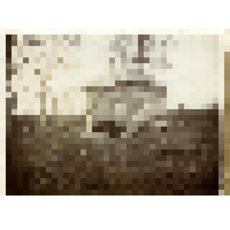 Фотография. Часовня великомученика Никиты в Горенском лесу. На крыльце сидят, слева направо: Тютчевы Фёдор Иванович и Николай Иванович