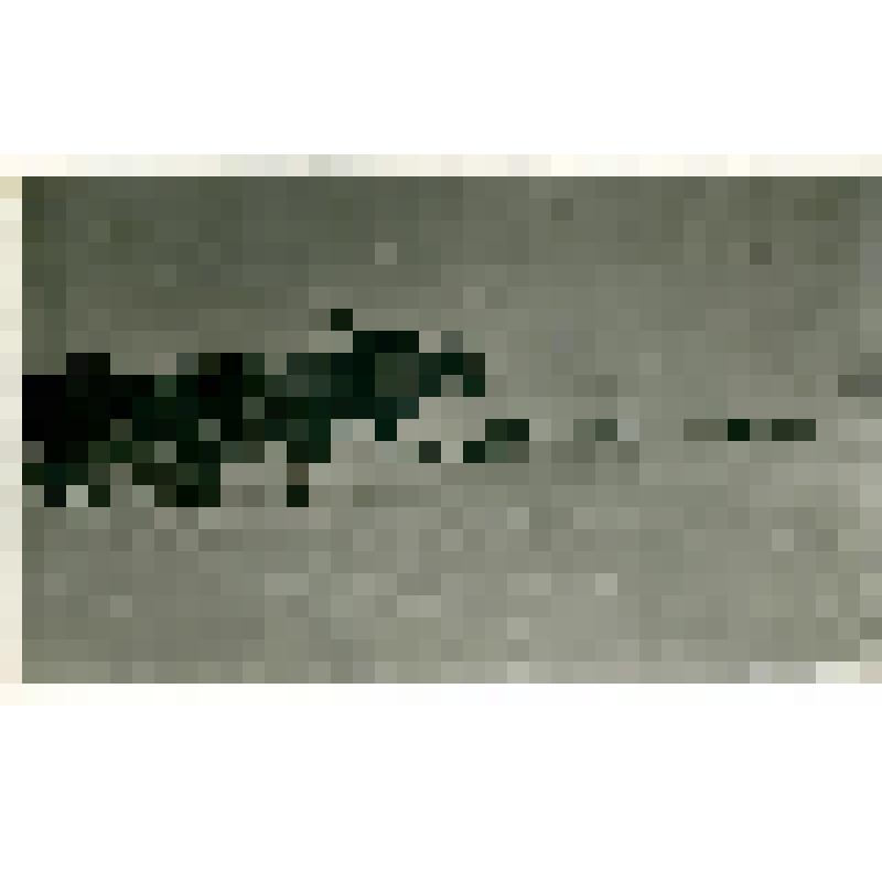 Почтовая карточка. Кони и собаки у колодца