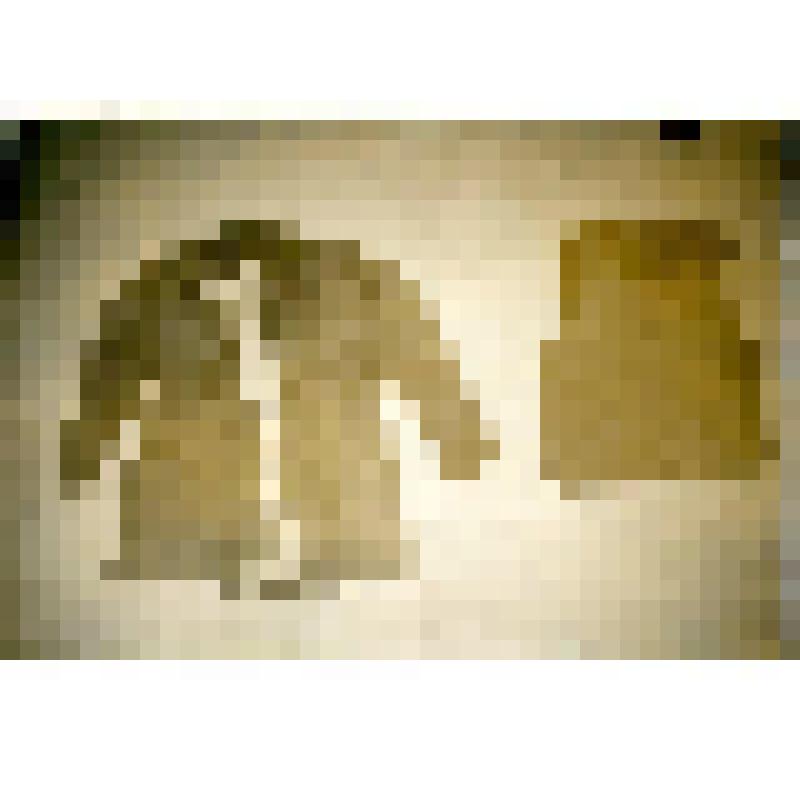 Фотография. Одежда тунгусов