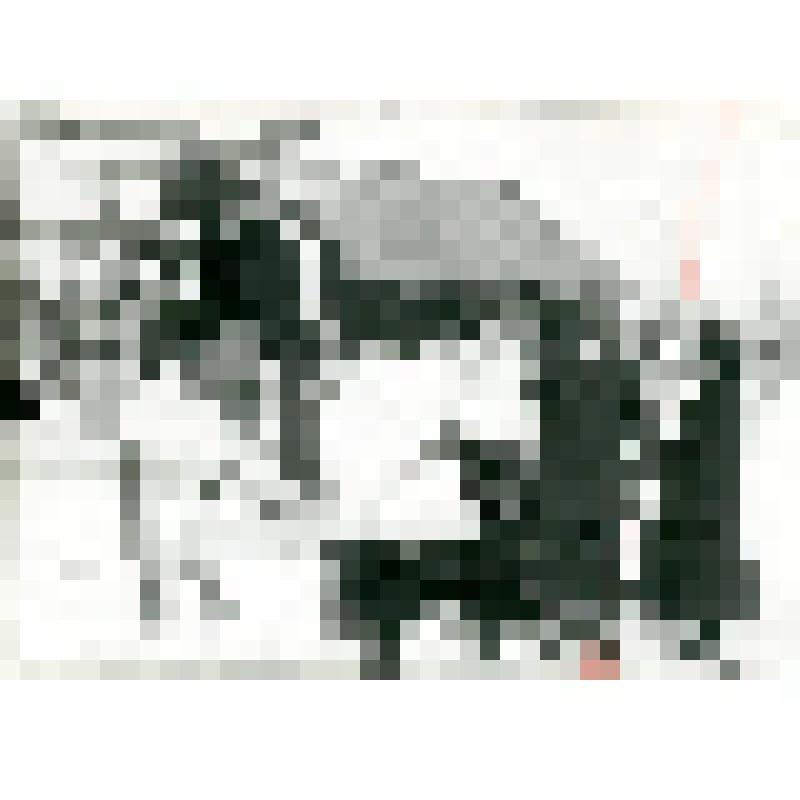 Фотография. Семья Поповых провожает сына с женой в город