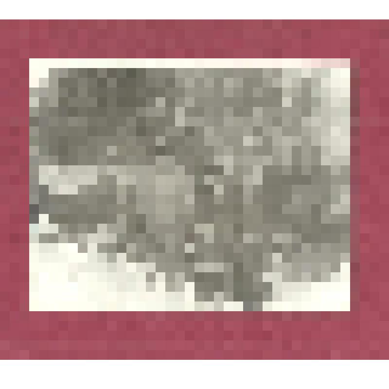 Фотография ч/б. Репечка, Москаленко, Аржанников