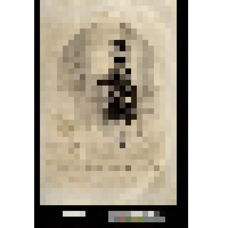 Ciel! après trois mois d'absence, je trouve ma femme déménagée! 