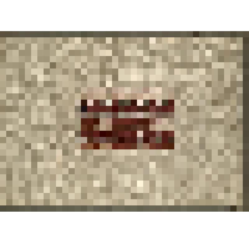 Образец смоленской вышивки. Из альбома зашивок «Смоленская вышивка»