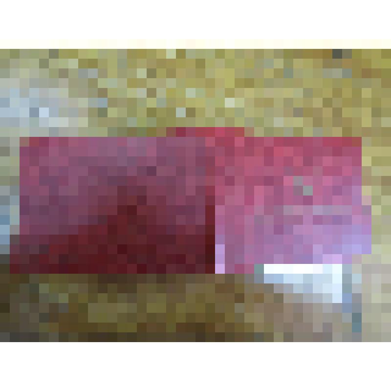 Удостоверение "Почетного гражданина г. Клинцы"