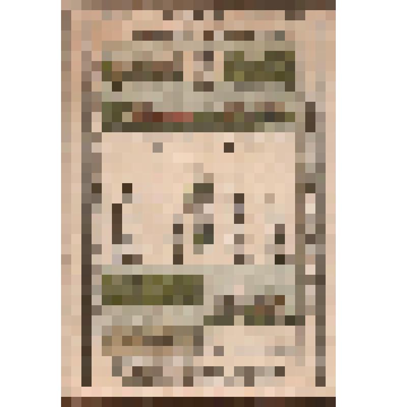 Иллюстрированная карта. Киевская губерния. Из комплекта: Альбом географических карт России или детский гран-пасьянс