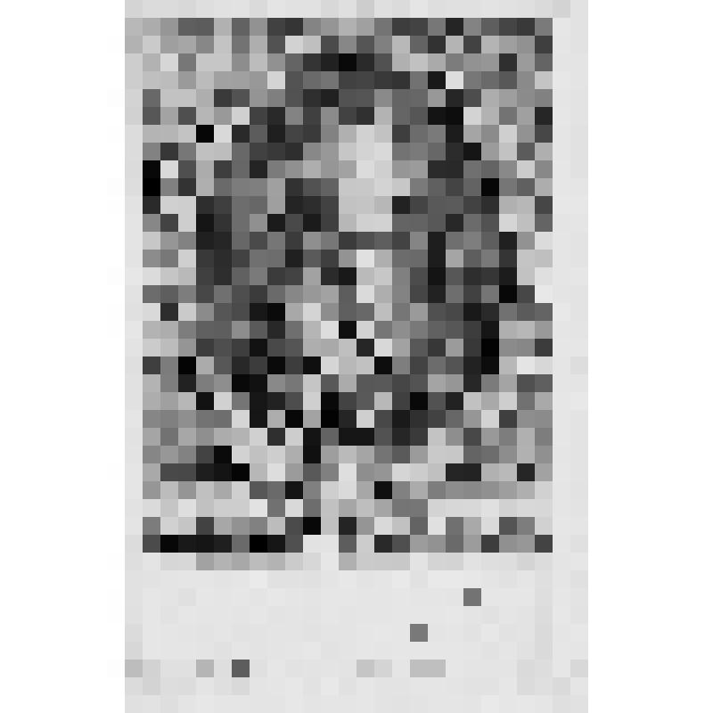 «Портрет Петра I».1759 -1760. По живописному оригиналу Ж.М.Наттье