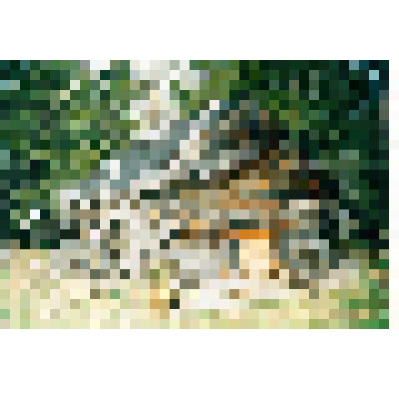 Фотография цветная "Амбар деревня Тильтим"