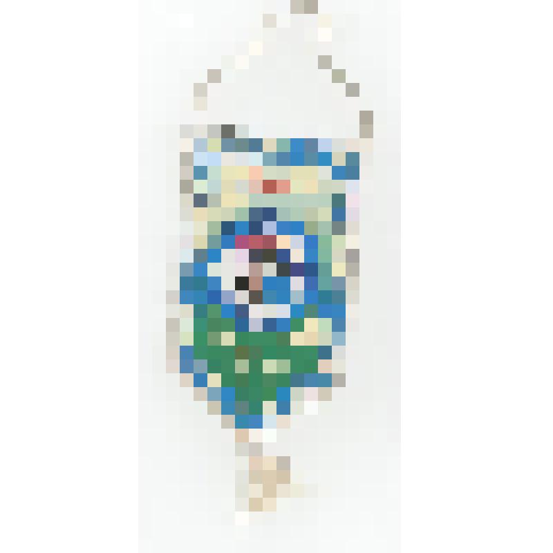 Вымпел. Овгорт - 100 лет. 1895-1995