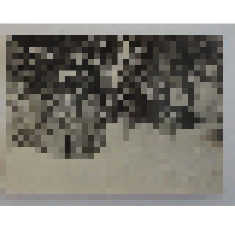 Фотография общая. Островский Н.А. с Островской О.О., Островской Е.А., Берсеневым Л.Н., Бондаревым В.Р. Сочи. 1934г