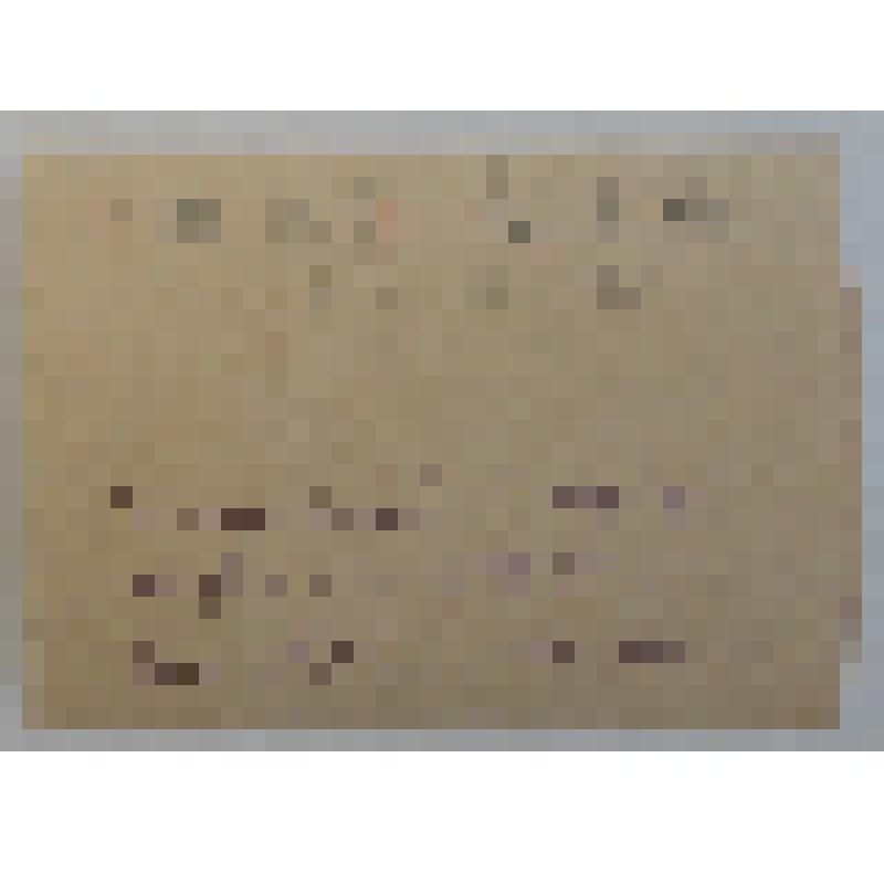 Фотография общая. Островский Н.А. с Островской О.О., Островской Е.А., Берсеневым Л.Н., Бондаревым В.Р. Сочи. 1934г