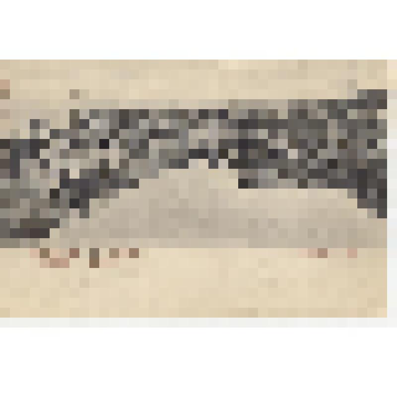 Открытое письмо  «Царицын на Волге. Пристань»