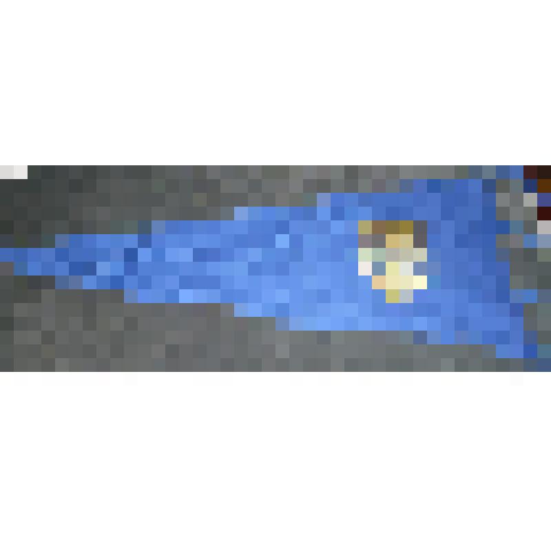 Флажок Союза Свободной немецкой молодежи